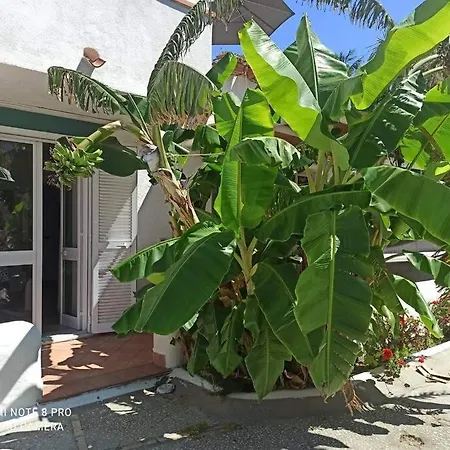 Apartment Casa Antonio
